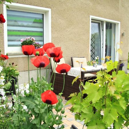 Ferienwohnung Haus Felix Bad Elster Bagian luar foto