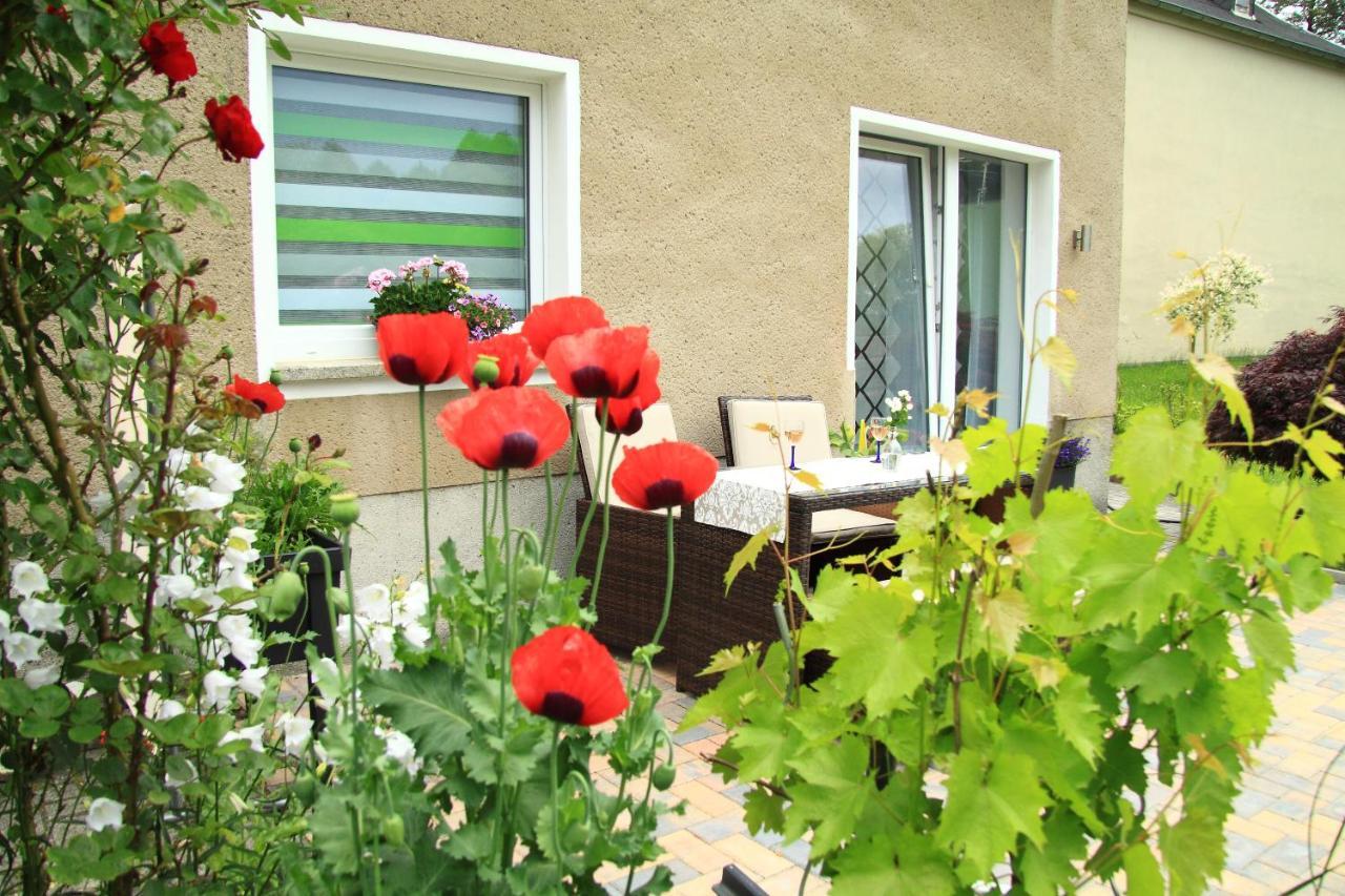Ferienwohnung Haus Felix Bad Elster Bagian luar foto